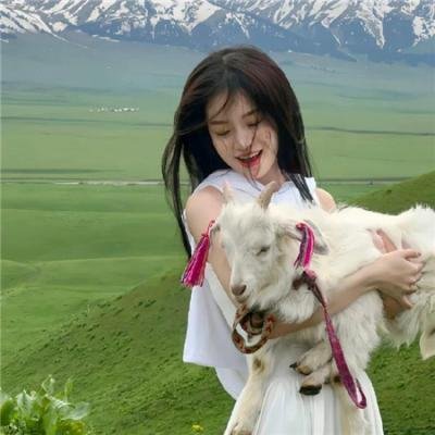 不灭之光 在线观看